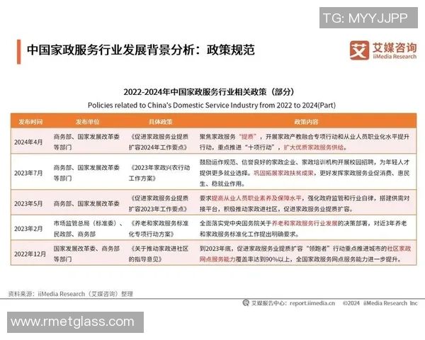 中国足球联赛外国球员的影响力与贡献分析及未来发展趋势探讨